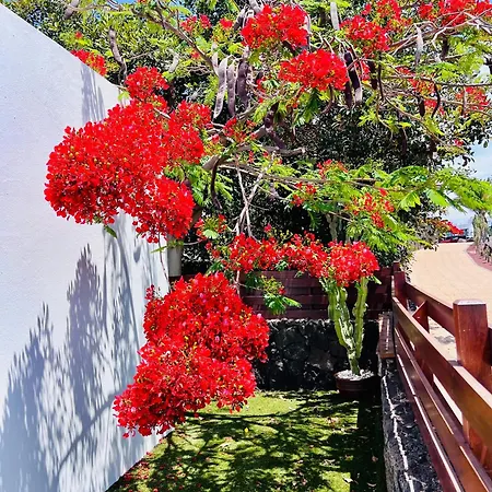 别墅 Casa Arima 普拉亚布兰卡